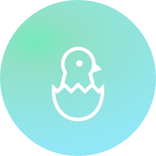 ライトプランアイコン